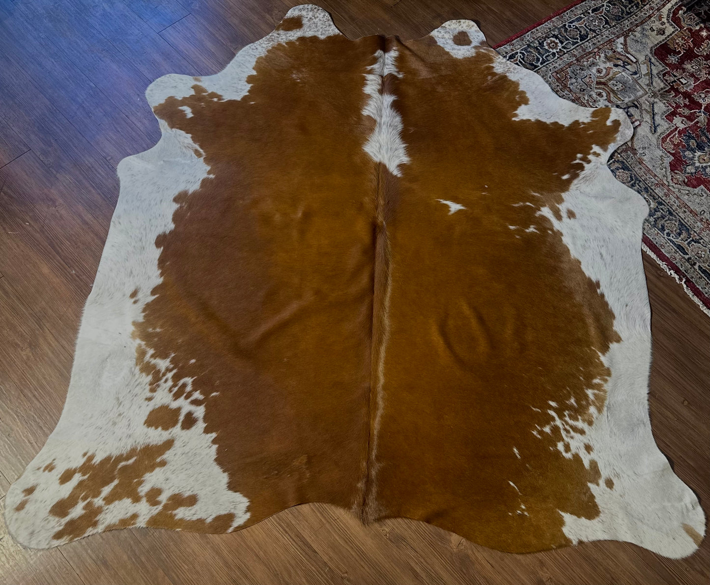 Cowhide 4