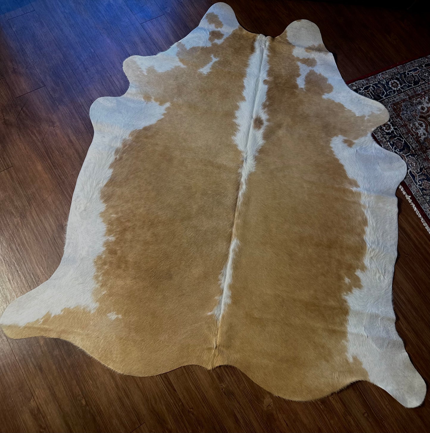 Cowhide 7