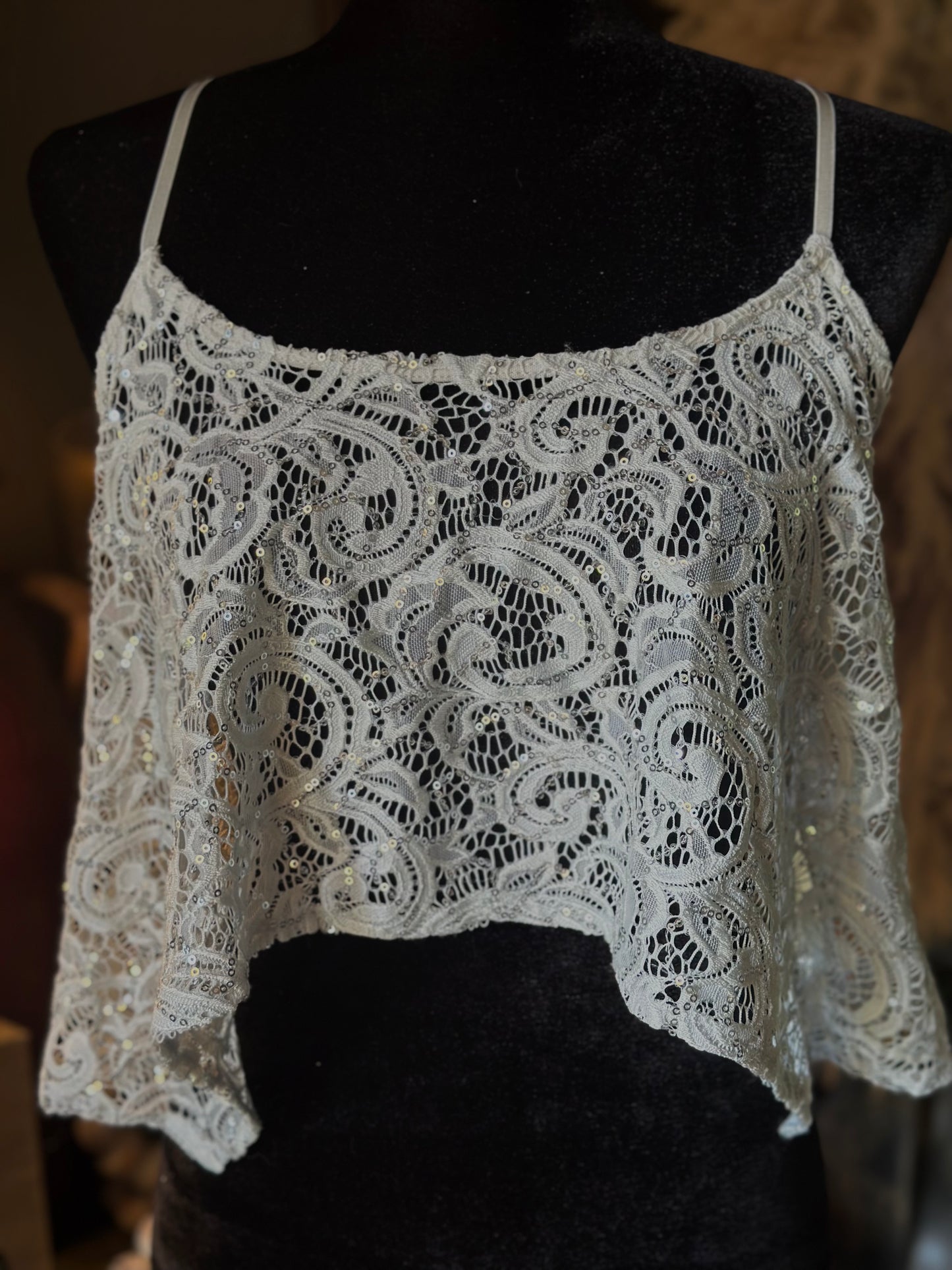 Free People Sequin Lace Top