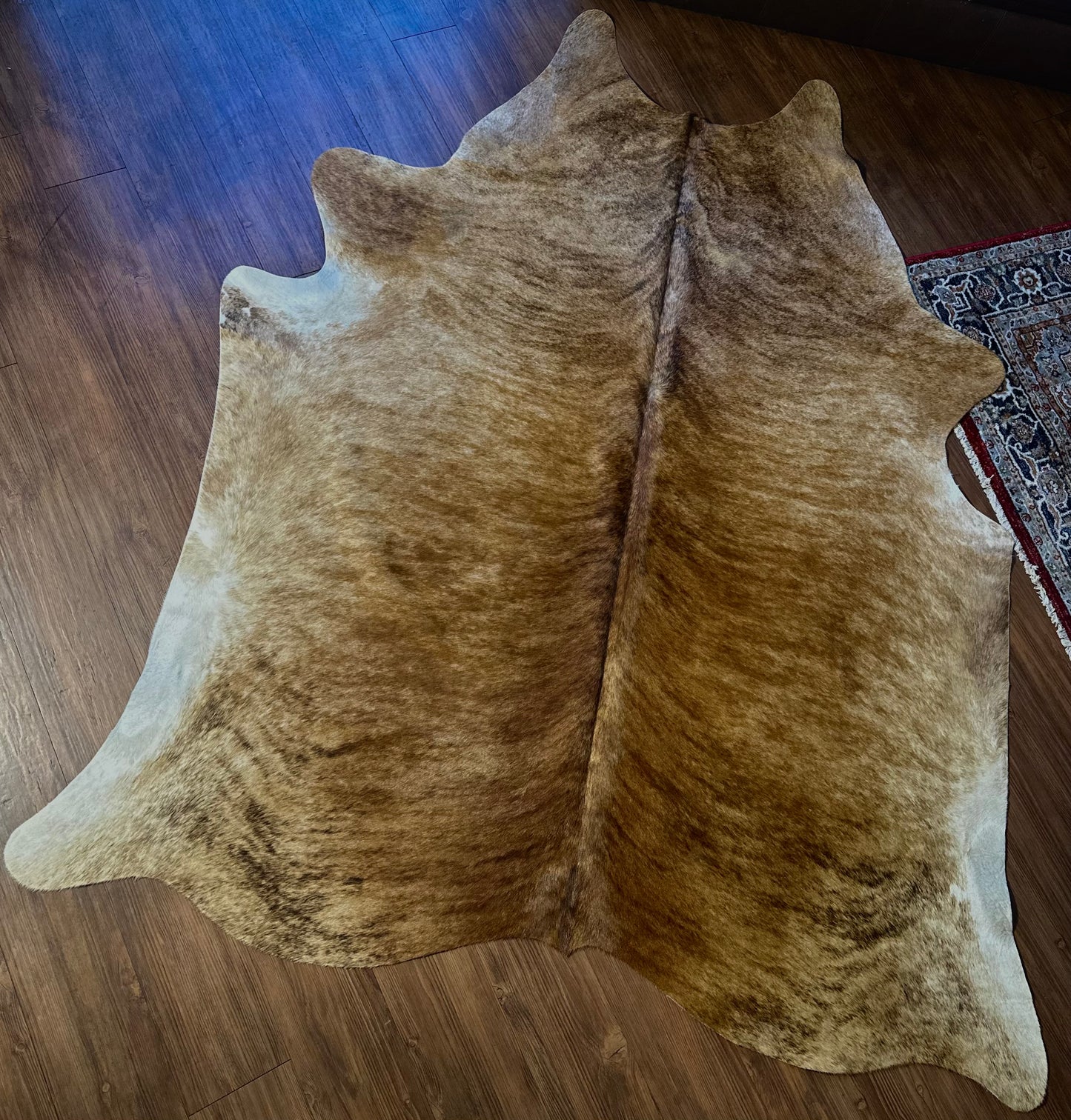 Cowhide 6