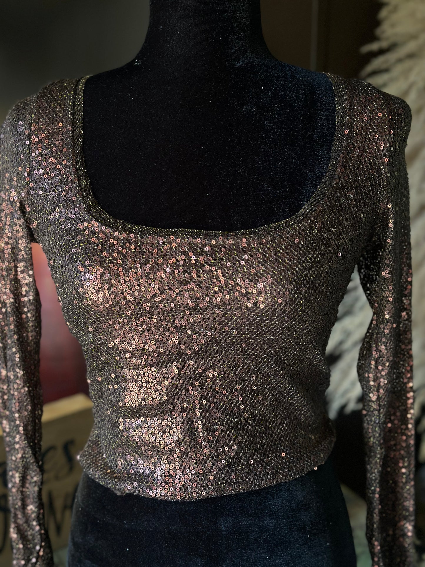 Free People Intimately Brown Sequin Top